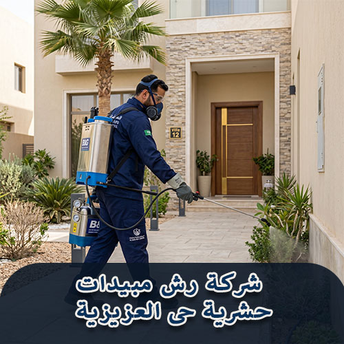 شركة رش مبيدات حشرية حى العزيزية
