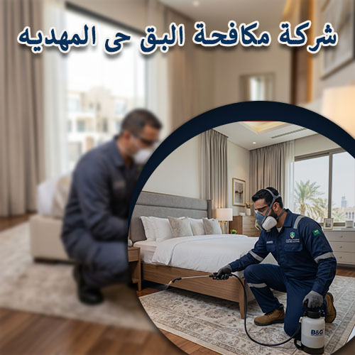 شركة مكافحة البق حى المهديه